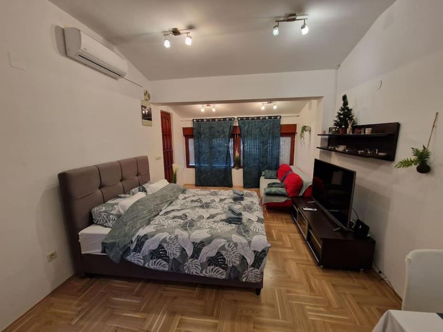 Warm House Full Of Green Ambient,Joy And Comfort Zagreb Eksteriør billede