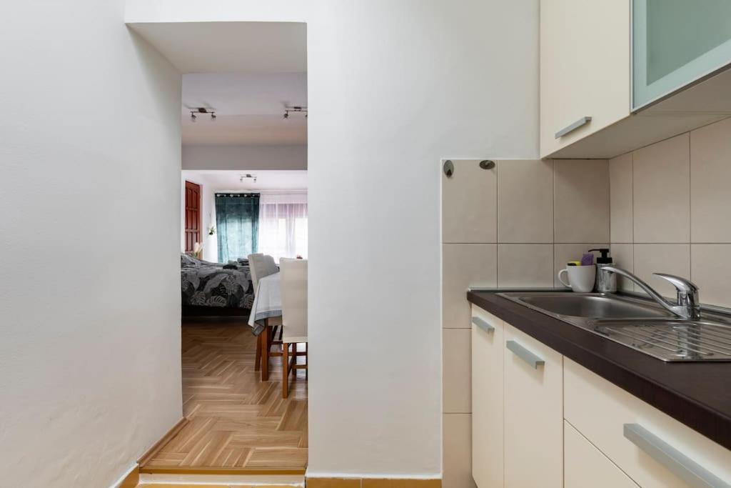 Warm House Full Of Green Ambient,Joy And Comfort Zagreb Eksteriør billede