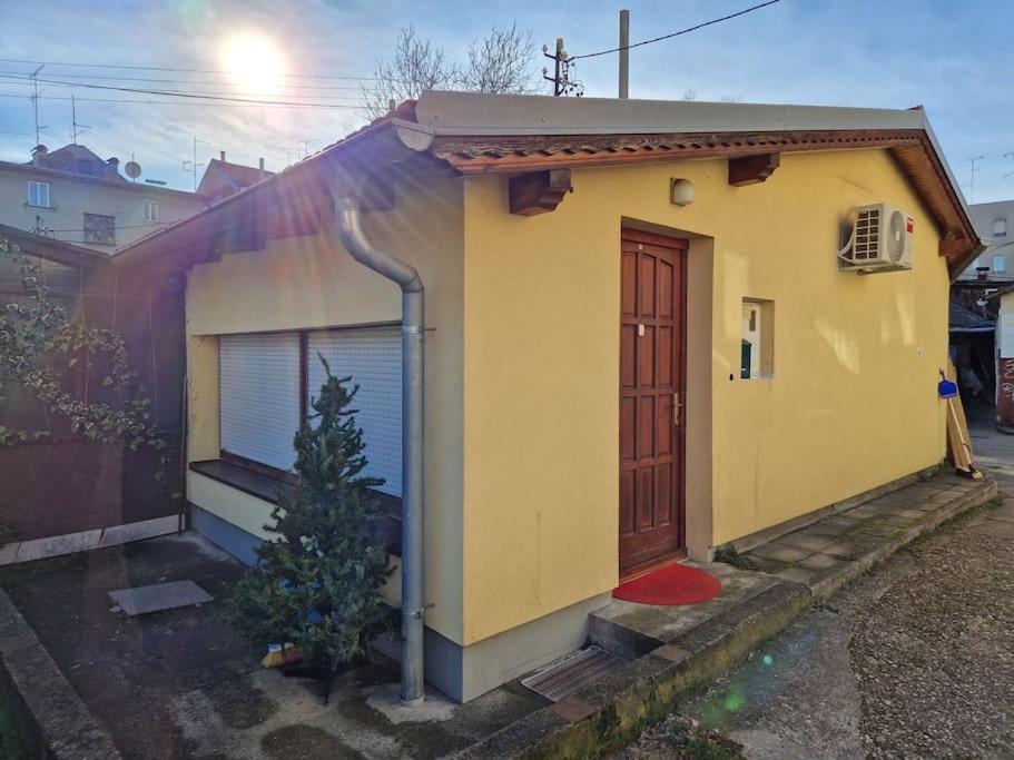 Warm House Full Of Green Ambient,Joy And Comfort Zagreb Eksteriør billede