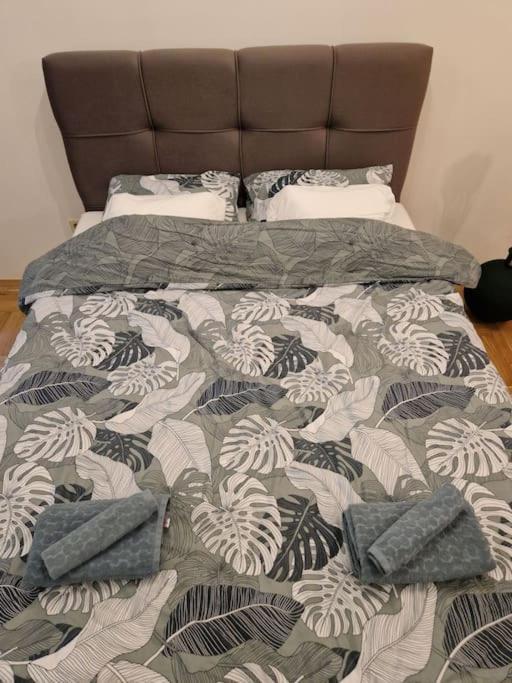 Warm House Full Of Green Ambient,Joy And Comfort Zagreb Eksteriør billede